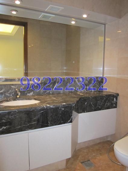 Four Seasons Park (D10), Condominium #114783062